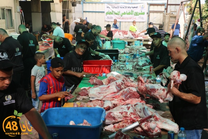 lod8om ada73y (2).JPG